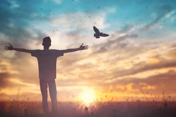 愛と知恵、日々の聖書の言葉