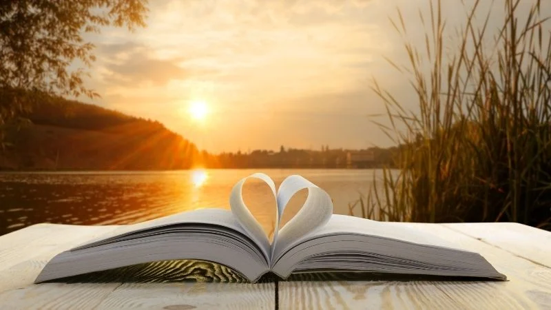 愛と知恵、日々の聖書の言葉